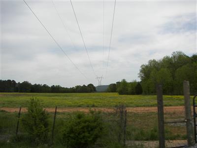 Paint Rock Valley