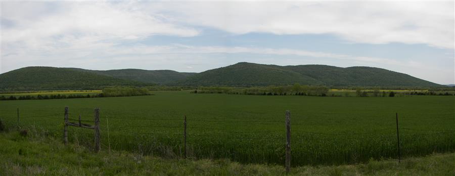 Paint Rock Valley ~ Yellow Meadows