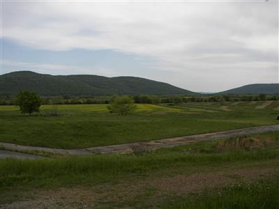 Paint Rock Valley ~ Yellow Meadows On A Farm