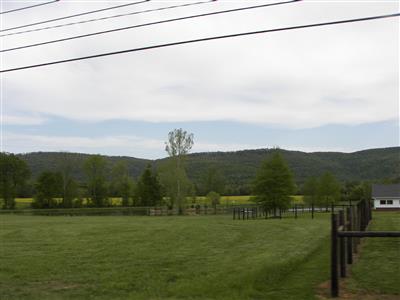 Paint Rock Valley ~ Pond