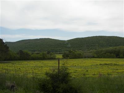 Paint Rock Valley ~ Yellow Meadows