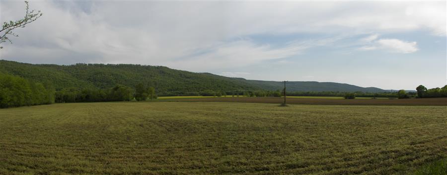 Paint Rock Valley ~ Fields