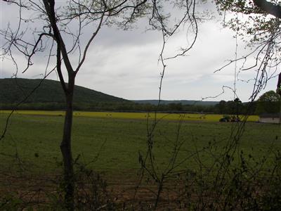 Paint Rock Valley