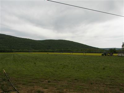 Paint Rock Valley